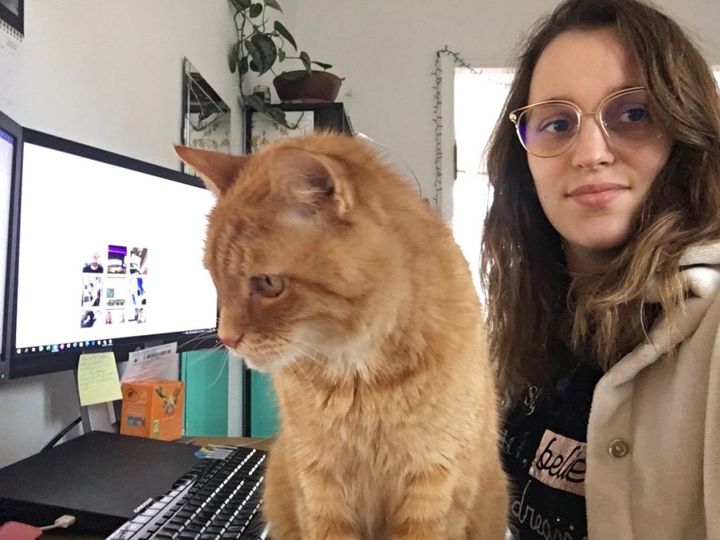 Le chat d’Alice ne comprend pas pourquoi elle est plus intéressée par ses écrans que par lui.
